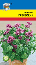 Орегано Греческий / Урожай у Дачи / НОВИНКА!