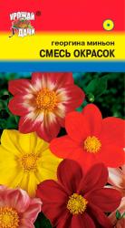 цв. одн. Георгина   МИНЬОН   СМЕСЬ ОКРАСОК  40 СМ   / Урожай у Дачи /   НОВИНКА !!!