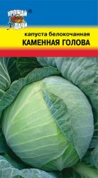 капуста КАМЕННАЯ ГОЛОВА скороспелая / Урожай у Дачи /