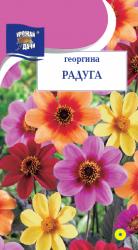 цв. одн. ГЕОРГИНА РАДУГА СМЕСЬ / Урожай у Дачи /