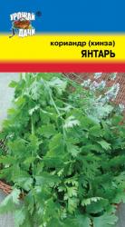 КОРИАНДР ЯНТАРЬ ( Кинза ) / Урожай у Дачи /