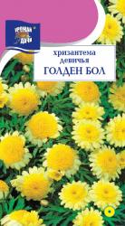 цв. одн. ХРИЗАНТЕМА ДЕВИЧЬЯ ГОЛДЕН БОЛ 25 см / Урожай у Дачи /