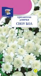 цв. одн. ХРИЗАНТЕМА  ДЕВИЧЬЯ  СНОУ  БОЛ  25 см / Урожай у Дачи /