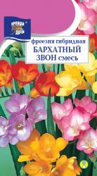 цв. комн. ФРЕЕЗИЯ  ГИБРИДНАЯ  БАРХАТНЫЙ ЗВОН Смесь   / Урожай у Дачи /