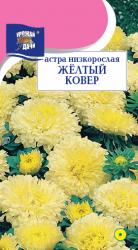 астра КОВЁР  ЖЕЛТЫЙ  НИЗКОРОСЛАЯ  / Урожай у Дачи /