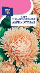 астра КОРОЛЕВСКИЙ РАЗМЕР АБРИКОСОВАЯ / Урожай у Дачи /