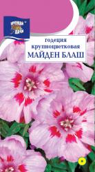 цв. одн. ГОДЕЦИЯ  МАЙДЕН  БЛАНШ  КРУПНОЦВЕТКОВАЯ   35  см / Урожай у Дачи /