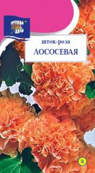 цв.мног. ШТОК - РОЗА ЛОСОСЕВАЯ / Урожай у Дачи /