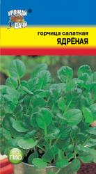 ГОРЧИЦА ЛИСТОВАЯ ЯДРЕНАЯ / Урожай у Дачи /