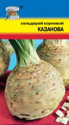 СЕЛЬДЕРЕЙ КОРНЕВОЙ КАЗАНОВА / Урожай у Дачи /