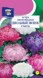 астра ШКОЛЬНЫЙ ЗВОНОК СМЕСЬ пионовидная / Урожай у Дачи /