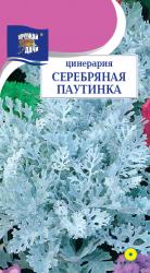 цв. одн. ЦИНЕРАРИЯ СЕРЕБРЯНАЯ ПАУТИНКА / Урожай у Дачи /