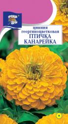 цв. одн. ЦИНИЯ ПТИЧКА КАНАРЕЙКА / Урожай у Дачи /