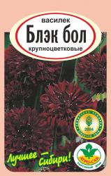 цв. одн. ВАСИЛЁК БЛЕК БОЛ / АГРО САД / НОВИНКА !!!