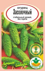 огурец ЗАСОЛОЧНЫЙ / АГРО САД /
