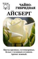 Роза Айсберг / Чайно - Гибридная / (в тубе)