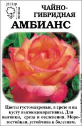 Роза Амбианс /ЧГ/ желто-красная   (в тубе)
