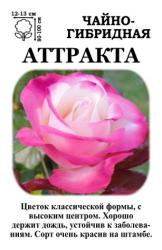 Роза Аттракта /ЧГ/   (в тубе)