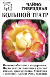 Роза Большой театр /ЧГ/  