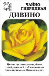 Роза Дивино /ЧГ/  лимонно-желтая.яркая.   (в тубе)