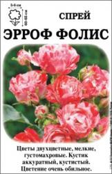 Роза Эрров Фолис   (в тубе)