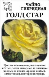 Роза Голд Стар /ЧГ/   (в тубе)