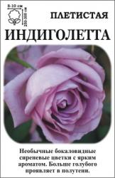 Роза Индиголета /Плетистая/ сиреневая (в тубе)