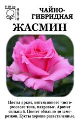 Роза Жасмин /ЧГ/   (в тубе)