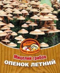 ГРИБЫ МИЦЕЛИЙ ОПЕНОК ЛЕТНИЙ / САД С УДОВОЛЬСТВИЕМ /