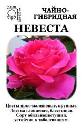 Роза Невеста /ЧГ/   (в тубе)