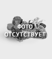 капуста ГРИБОВСКАЯ-147 ( НОМЕР ПЕРВЫЙ ).    Б/П   ранняя, для квашения / ДЕМЕТРА /