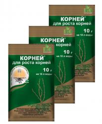 КОРНЕЙ  10  гр