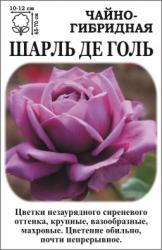 Роза Шарль Де Голь /ЧГ/ голубовато-сиреневая.   (в тубе)