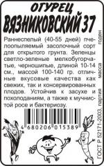 Огурец  Вязниковский 37