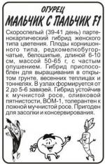 Огурец  МАЛЬЧИК С ПАЛЬЧИК F-1