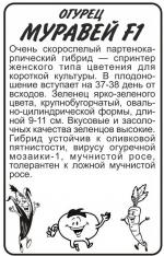 огурец муравей F-1