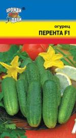 Огурец   Перента  F-1