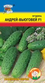 огурец андрей вьюговей F-1