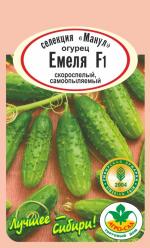 Огурец  Емеля F-1