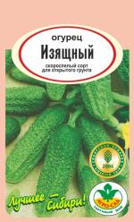 Огурец  ИЗЯЩНЫЙ