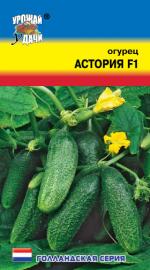 Огурец  АСТОРИЯ F-1
