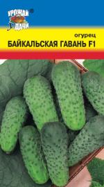 Огурец   БАЙКАЛЬСКАЯ ГАВАНЬ F-1
