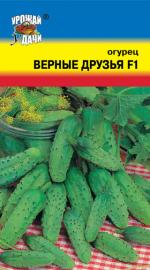 Огурец  ВЕРНЫЕ ДРУЗЬЯ F-1