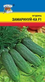 Огурец  ЗАМАРИНУЙ–КА   F-1