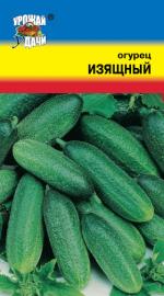 Огурец  ИЗЯЩНЫЙ