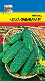 Огурец  КВАКА-ЗАДАВАКА F-1