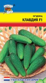 Огурец  КЛАВДИЯ F-1