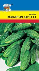 Огурец  КОЗЫРНАЯ КАРТА F1