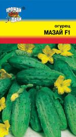 Огурец  МАЗАЙ F-1