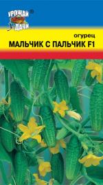 Огурец  МАЛЬЧИК С ПАЛЬЧИК F-1